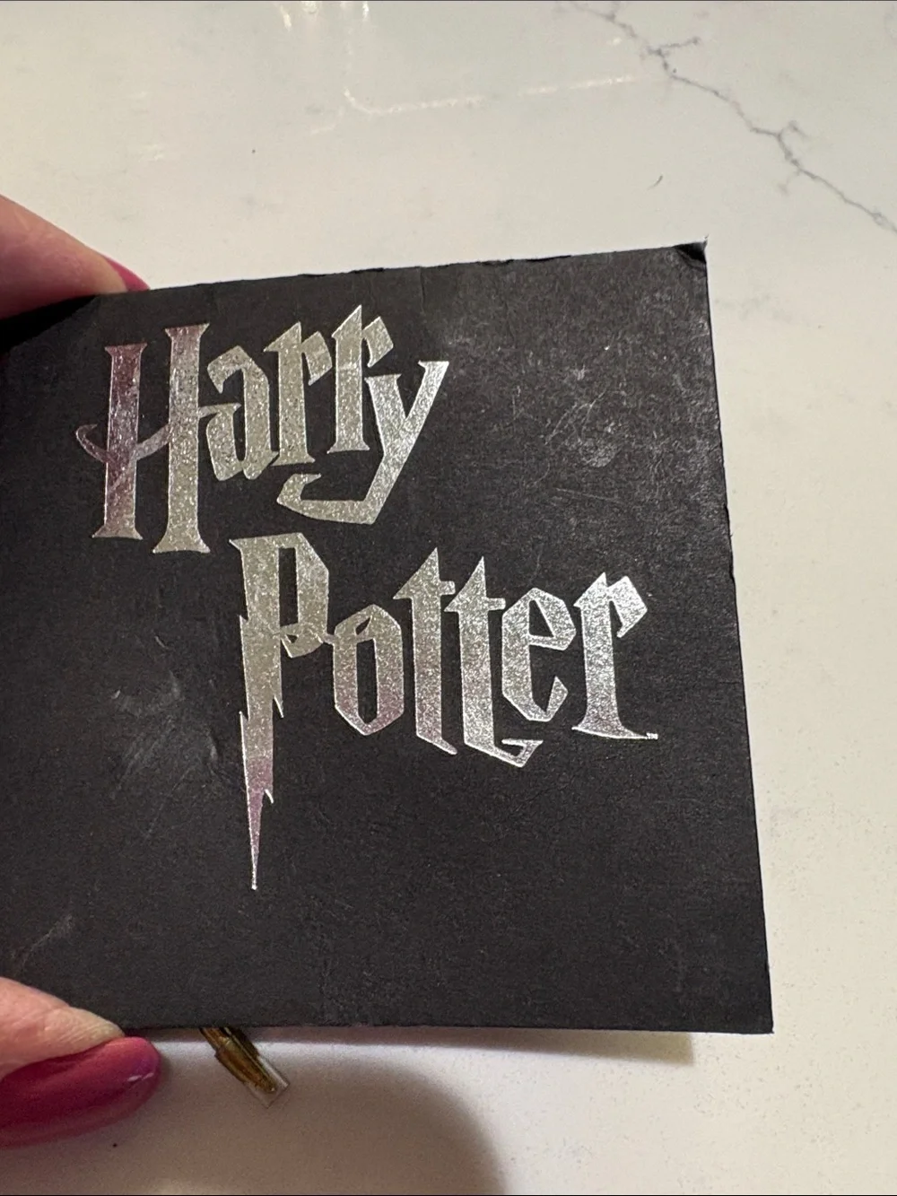 Warner Bros. Black and Gold Harry Potter Pin